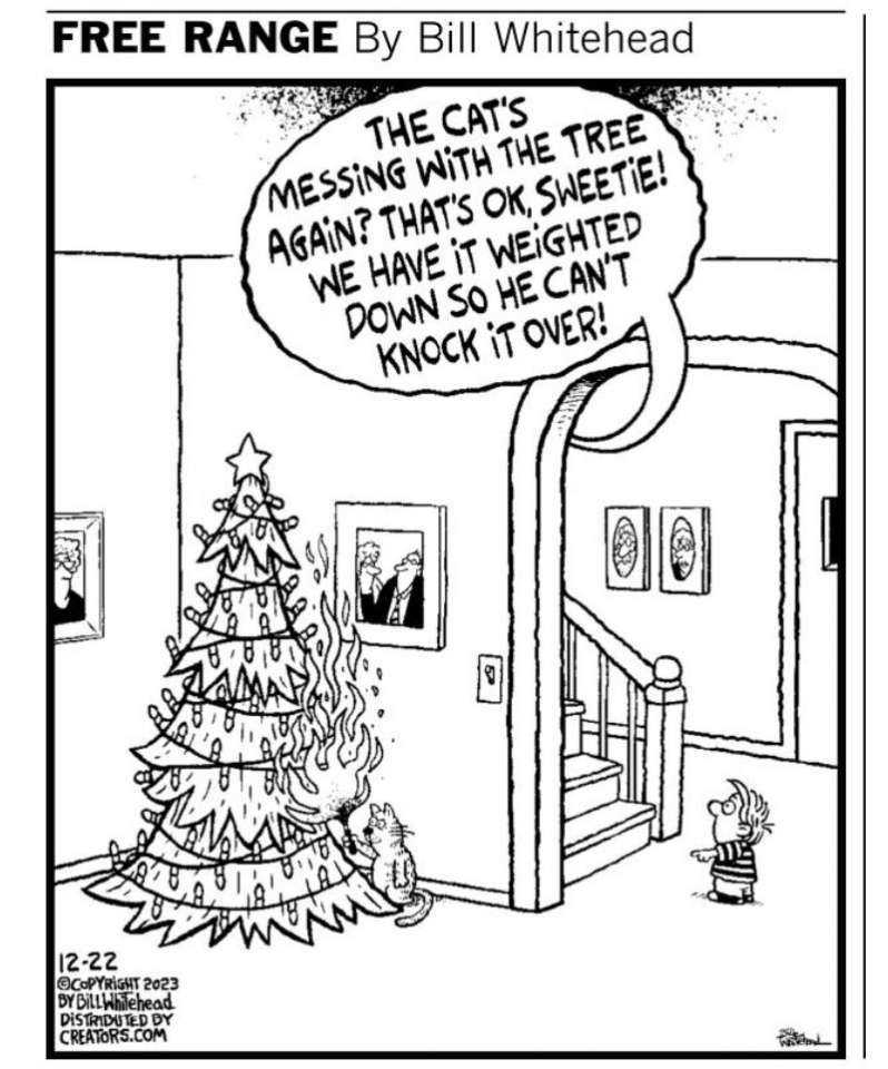 Cat_Christmas_cartoon.jpg