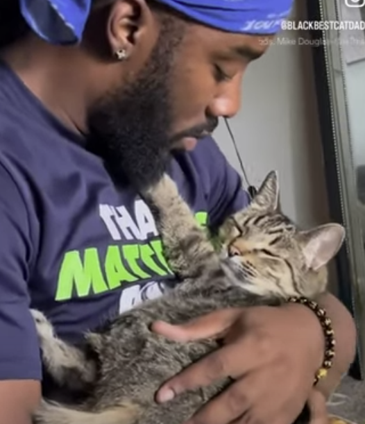 Cat_men.png