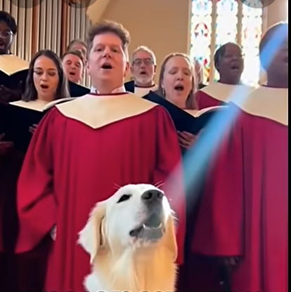 Dog_in_choir.png