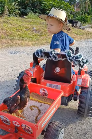 Farm_boy.png