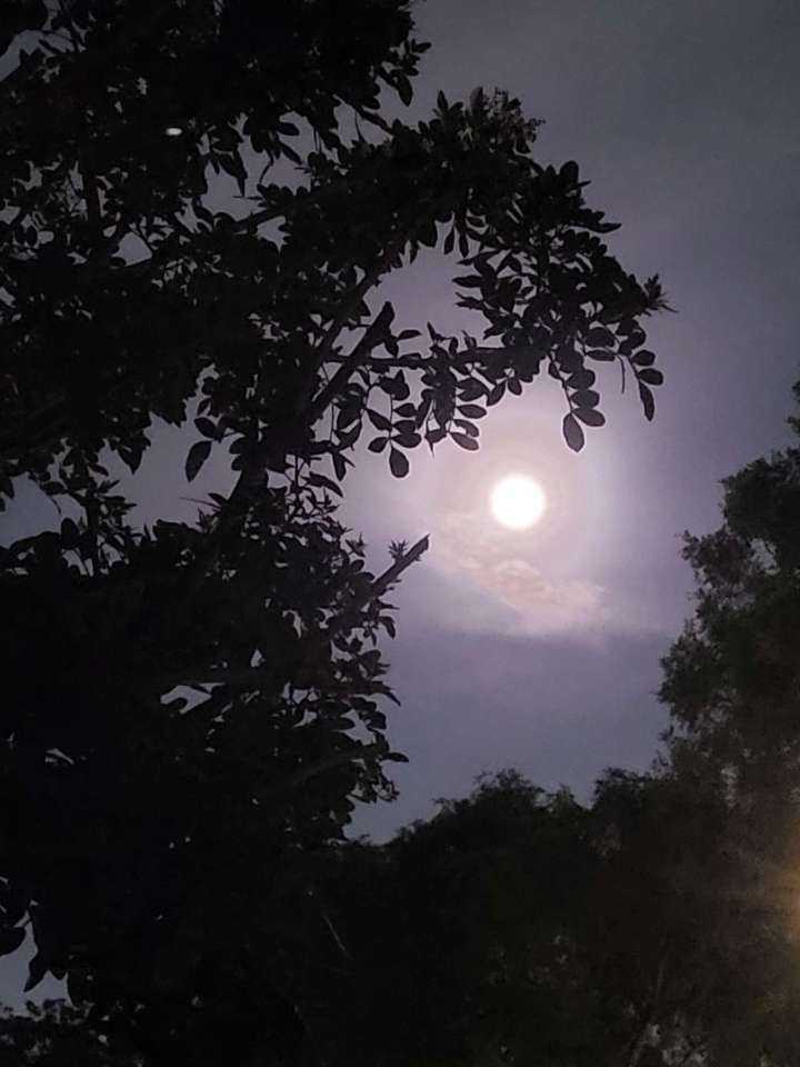 Moon1.jpg