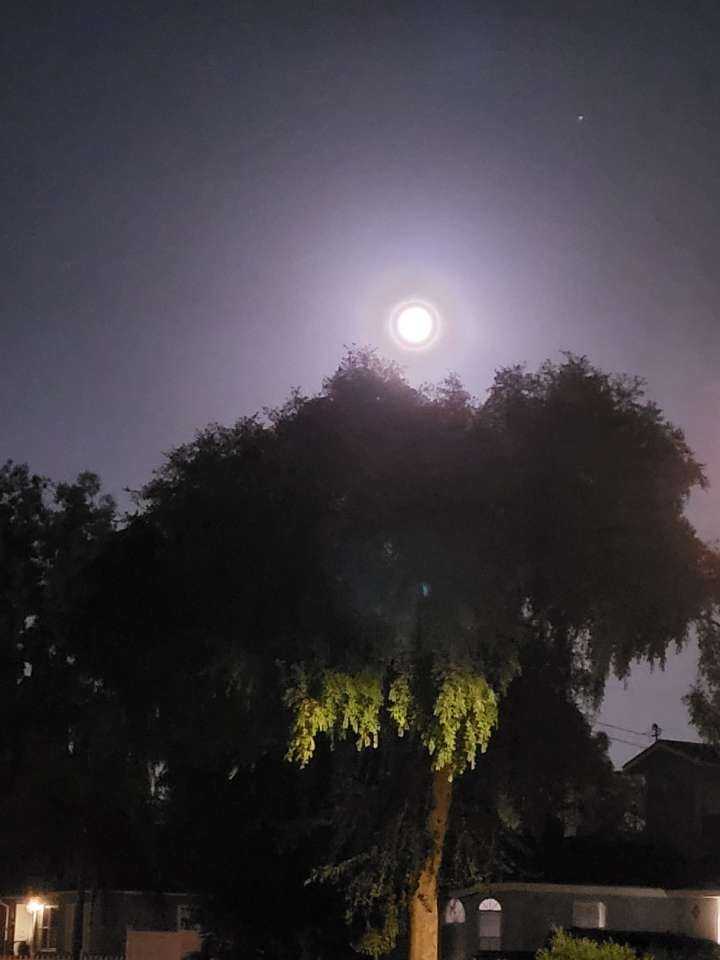 My_moon_pic_2.jpg