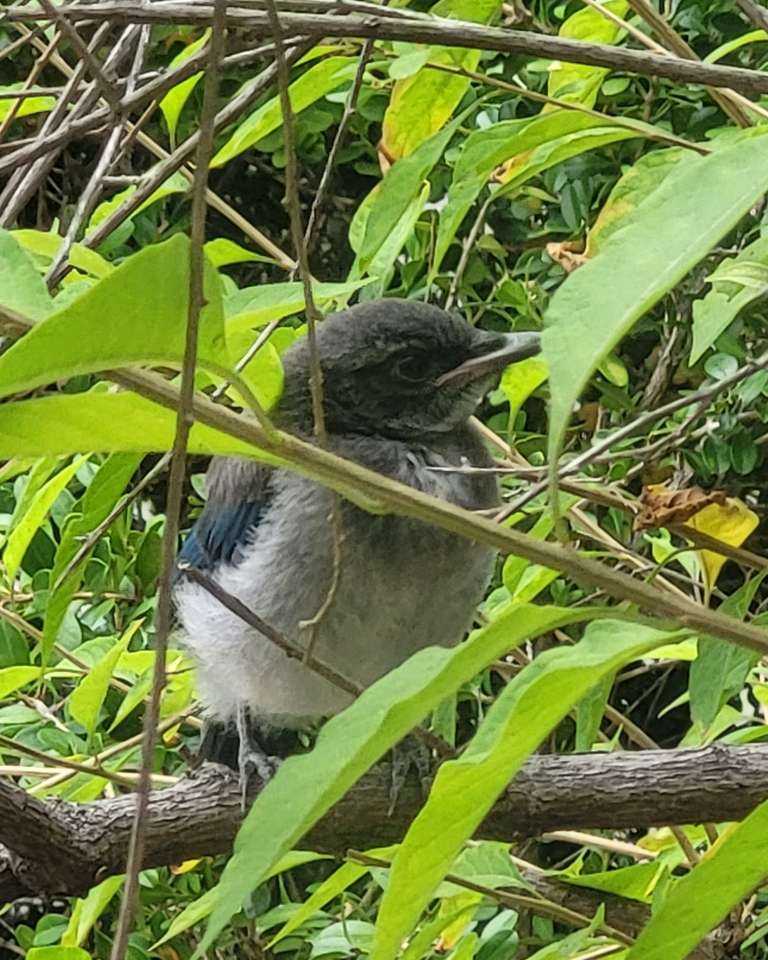 bird_my_photo.jpg