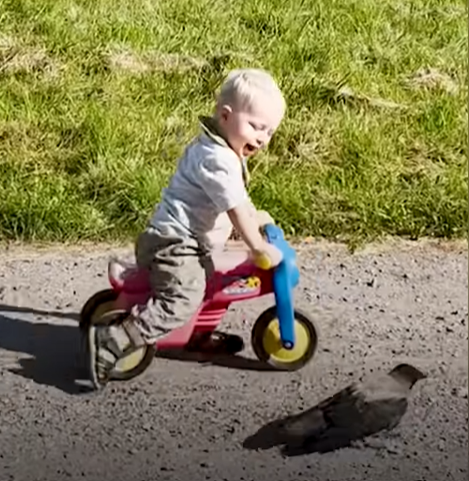 boy_and_crow1.png