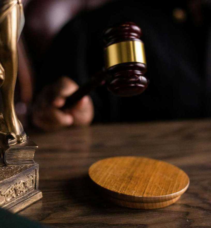 judge.jpg