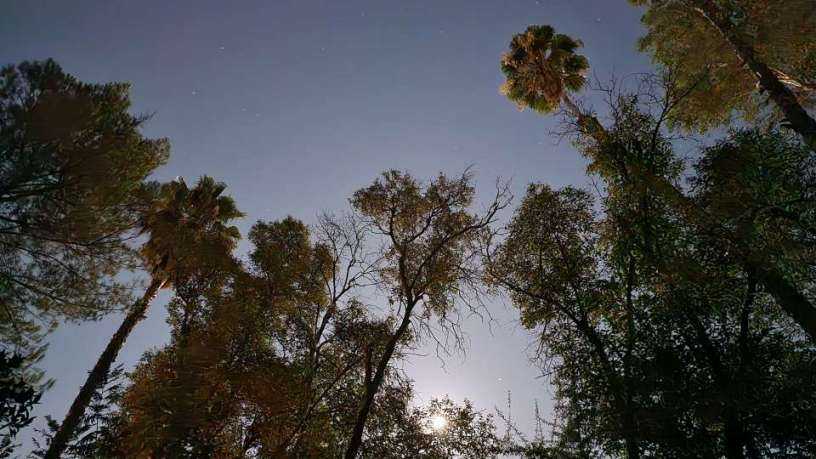20230830_225136.jpg