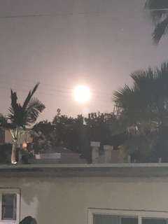 IMG_1827.jpeg