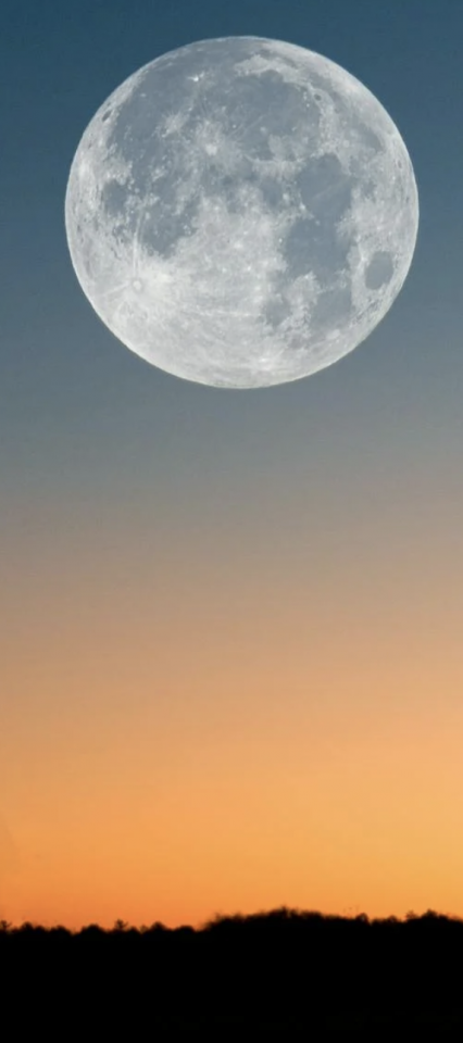 Screenshot_2024-07-29_at_2.43.52_PM.png
