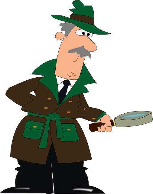 detective-gef594834c_640.jpg