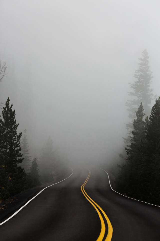 fog.jpg fog.jpg