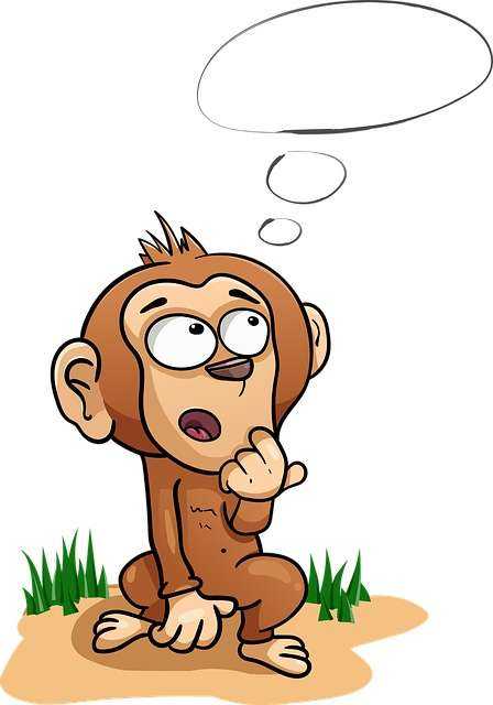 monkey-4699290_640.jpg