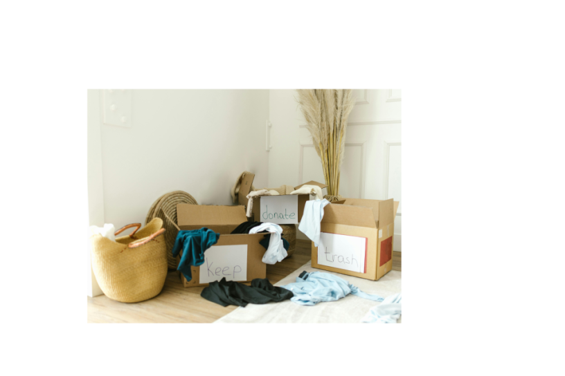 ea26760d-1277-4cdc-9167-2e49bdbcc825.jpg.png