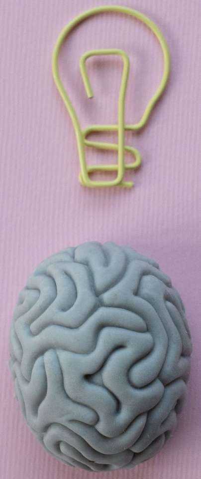 happy_brain1.jpg happy_brain1.jpg