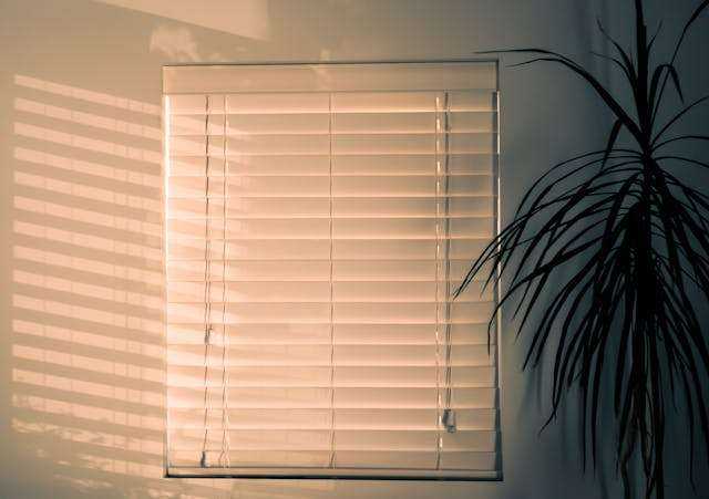window_blinds.jpg