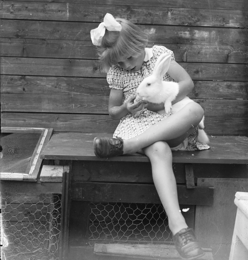 Girl_with_rabbit.png