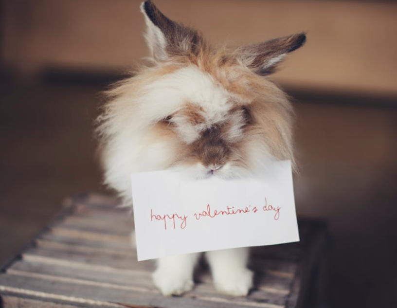 Happy_Valentine_Day-pexels-helena-lopes.png