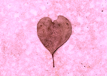 Leaf_heart.png