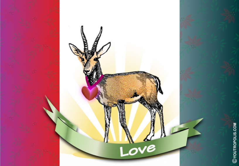 Love-flag-NS-1292x901.png