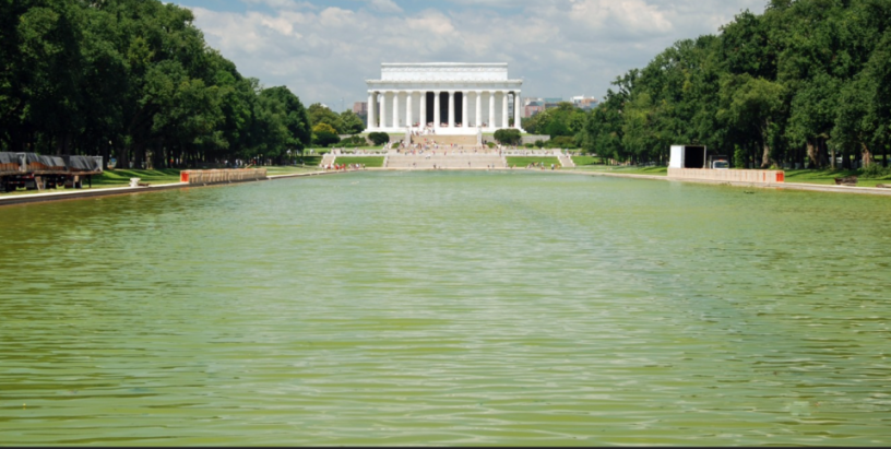 Trumps_Swamp.png Trumps_Swamp.png