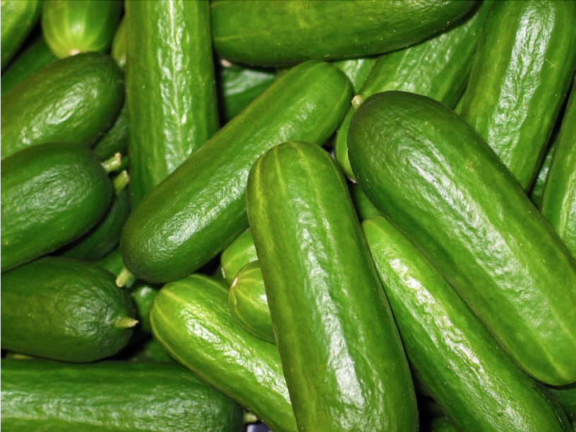 cucumbers.png