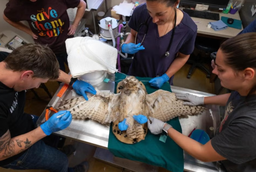 Best_Friends_Animal_Sanctuary.png Best_Friends_Animal_Sanctuary.png