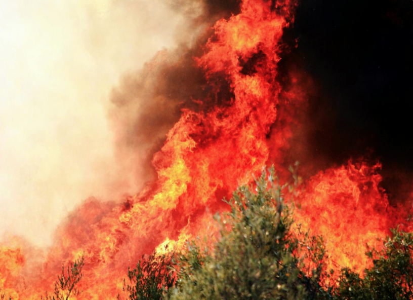 Fire.png