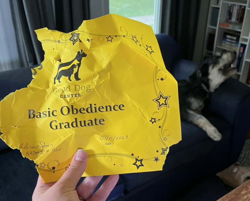 Good_Dog_Graduate.png