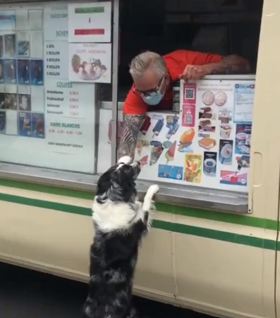 Dog_ice_cream_truck.png