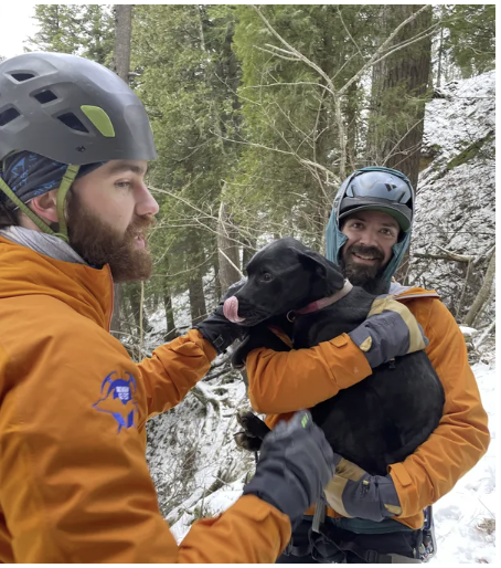 Dog_rescue.png