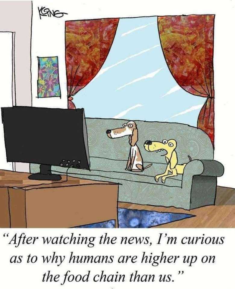 Dogs.jpg