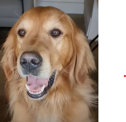 Huxley.png