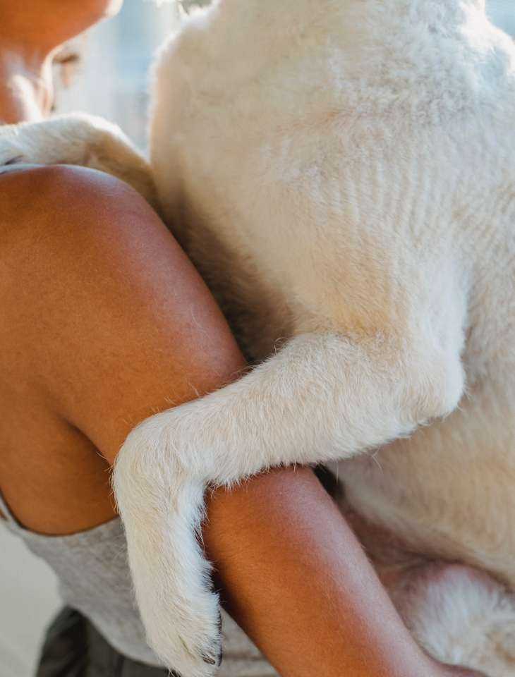 dog_in_arms.jpg