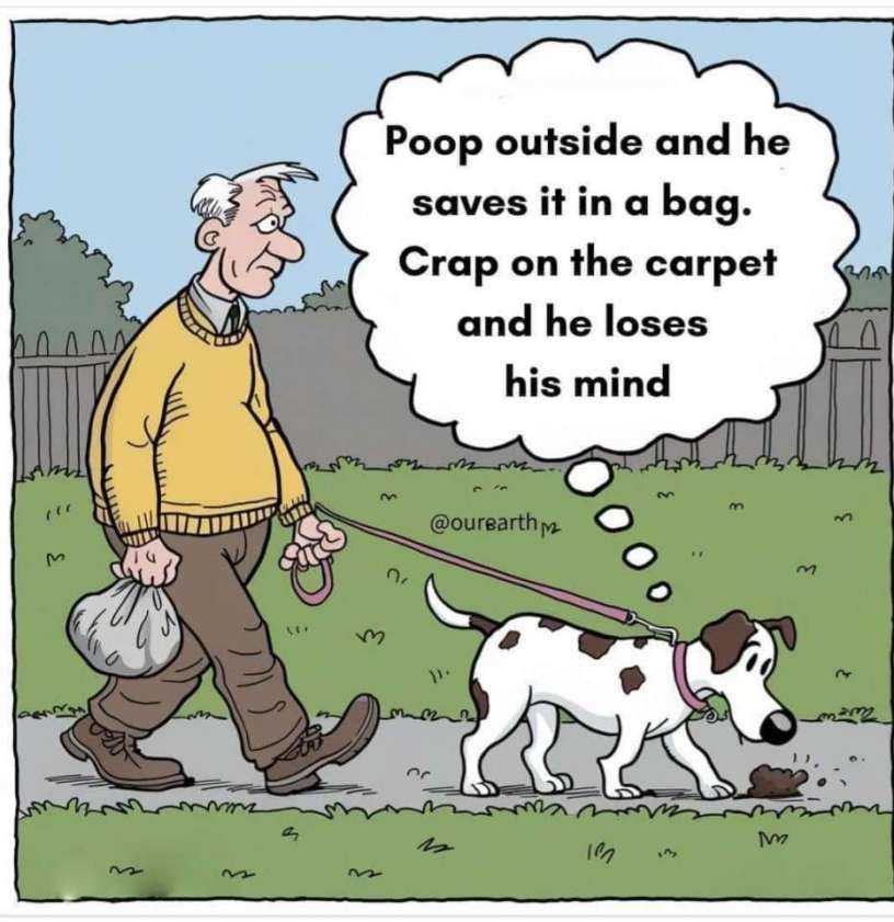 doggieland.jpg