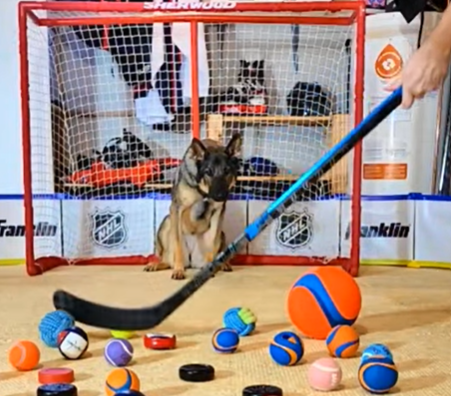 goalie.png
