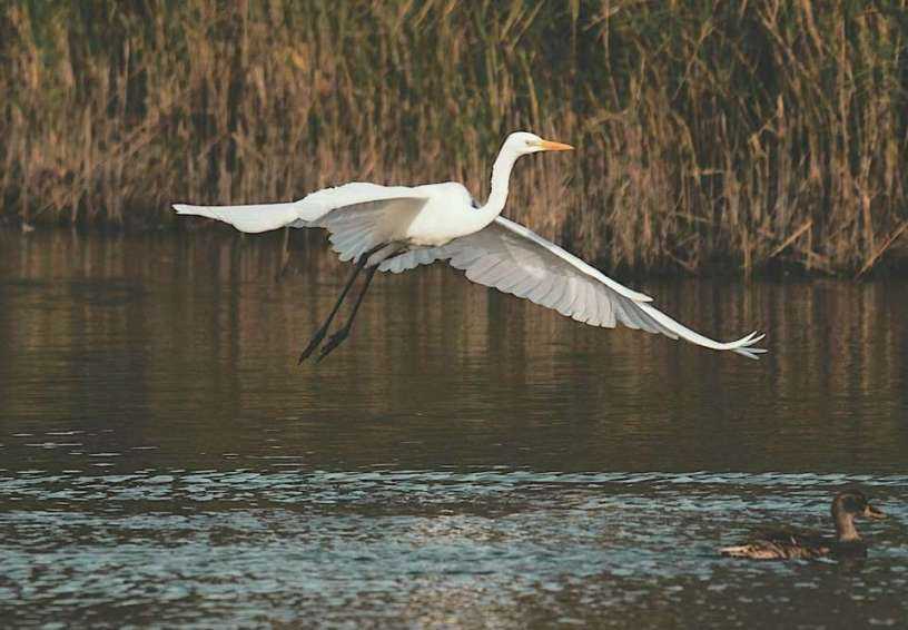 Vincent_Vidoni_Pexels.jpg Vincent_Vidoni_Pexels.jpg