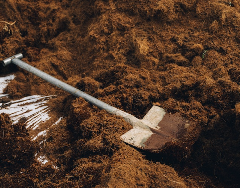 Digging_a_grave.png