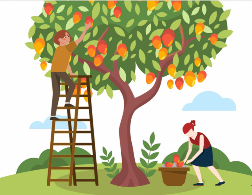 Harvesting.png