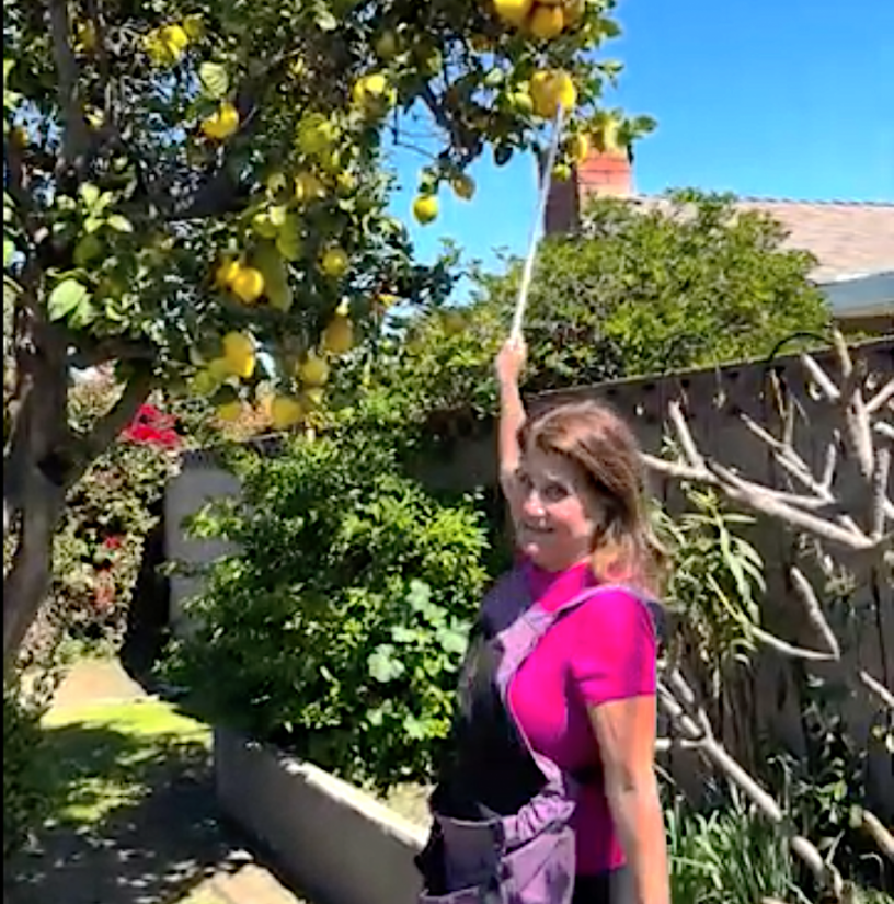 K.Faith_Assessing_Tree.png