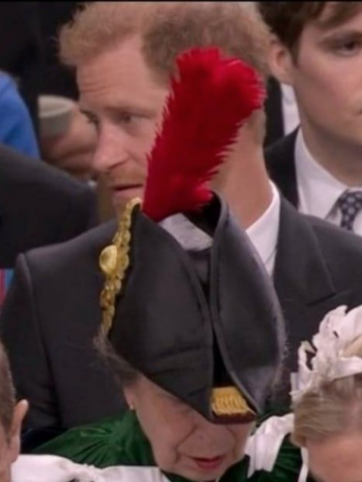 Royal_Feathered_Cap.png