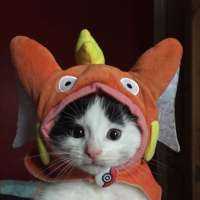 Happy Halloween!