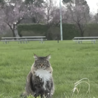 This guy breaks the law everyday