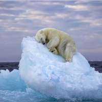 Cold bedrooms are better for sleeping