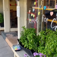 Teen Workers Save Cafe