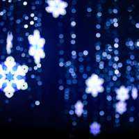 Celebrate the holidays