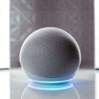 The stranger in your home