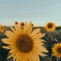 How misfortune led to a blessing