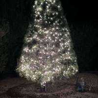 From pretty good to great