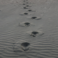 The benefits of walking backward
