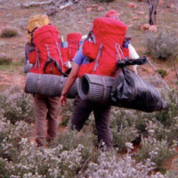 The dark history of wilderness therapy programs