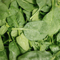What food safety experts never eat